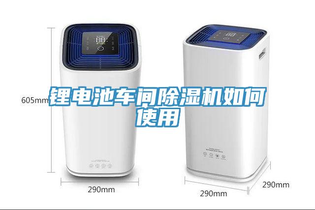 鋰電池車間草莓视频污污污污如何使用