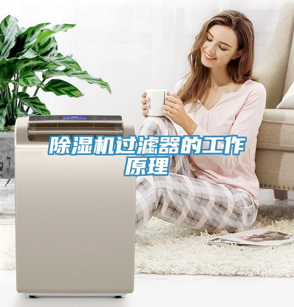 草莓视频污污污污過濾器的工作原理