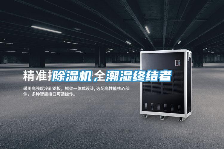 草莓视频污污污污，潮濕終結者