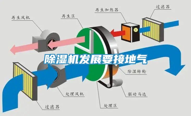 草莓视频污污污污發展要接地氣