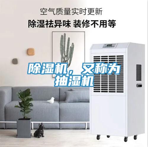 草莓视频污污污污，又稱為抽濕機