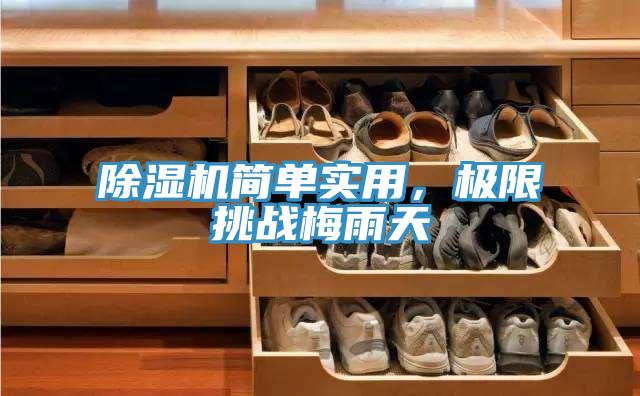 草莓视频污污污污簡單實用，極限挑戰梅雨天