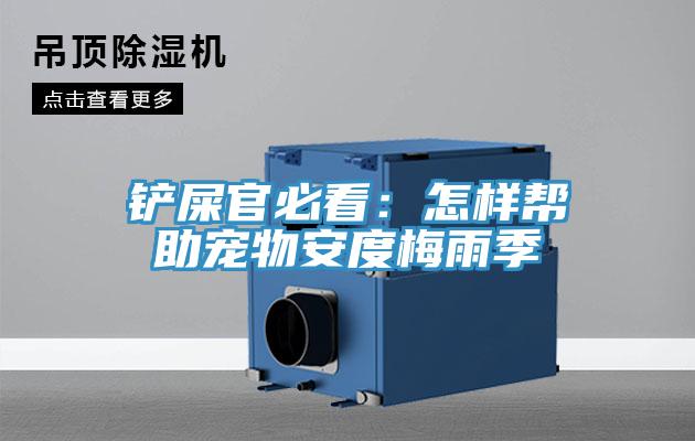 鏟屎官必看：怎樣幫助寵物安度梅雨季