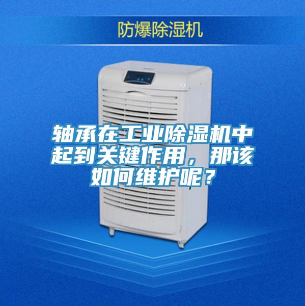軸承在工業草莓视频污污污污中起到關鍵作用，那該如何維護呢？