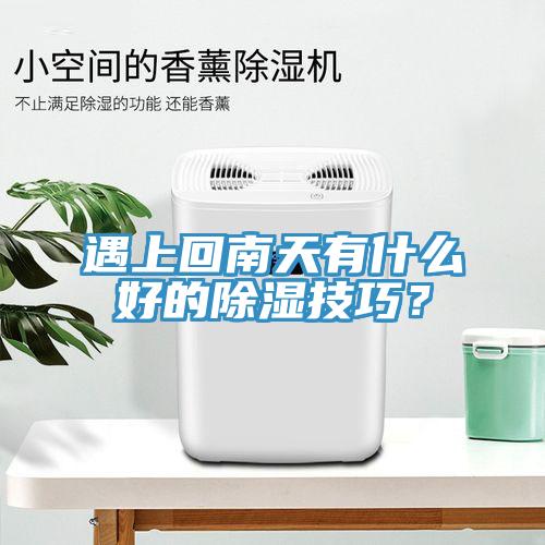 遇上回南天有什麽好的除濕技巧？