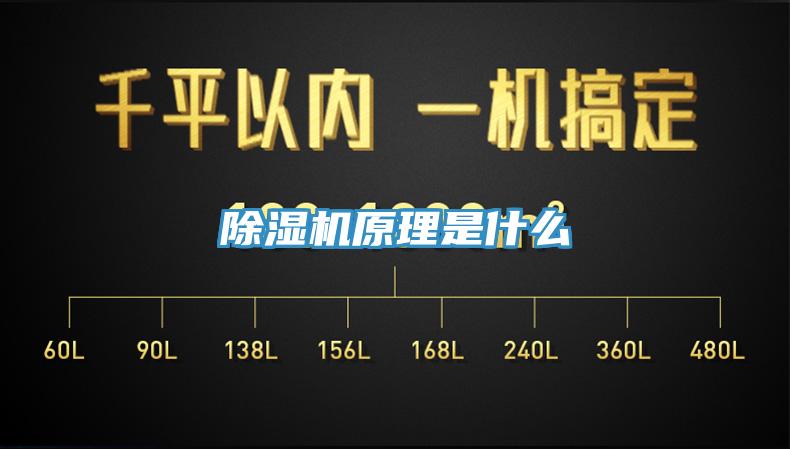 草莓视频污污污污原理是什麽
