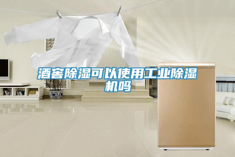 酒窖除濕可以使用工業草莓视频污污污污嗎