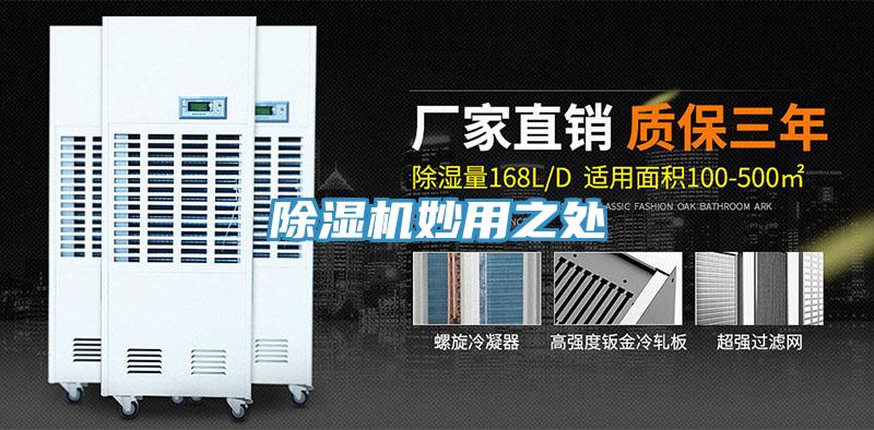 草莓视频污污污污妙用之處