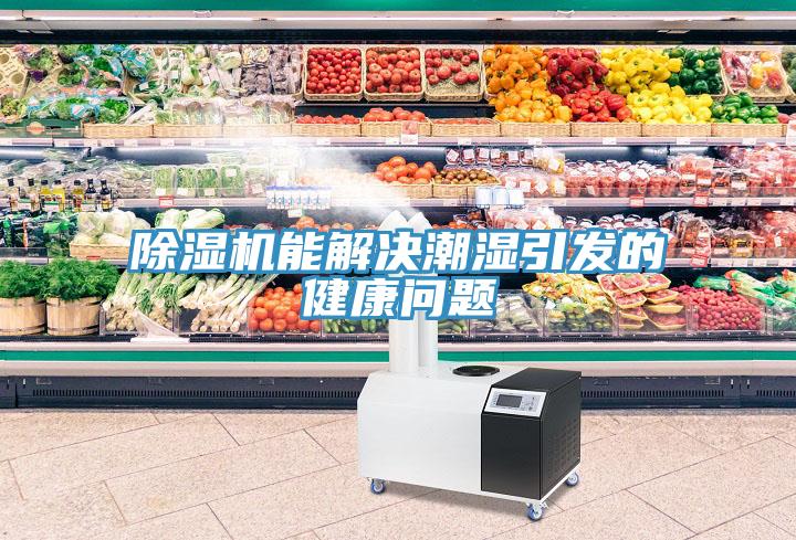 草莓视频污污污污能解決潮濕引發的健康問題