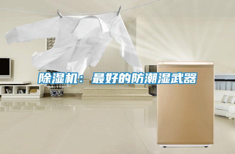 草莓视频污污污污：最好的防潮濕武器