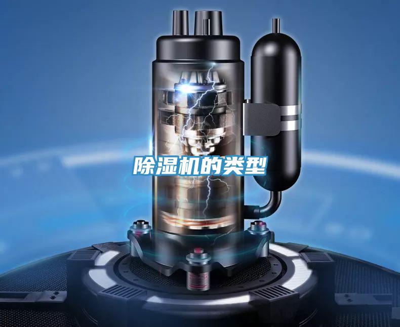 草莓视频污污污污的類型
