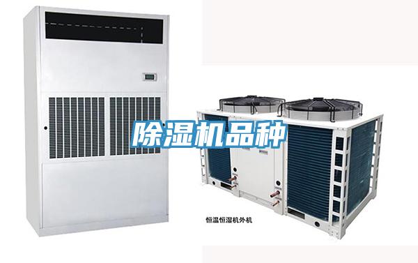 草莓视频污污污污品種
