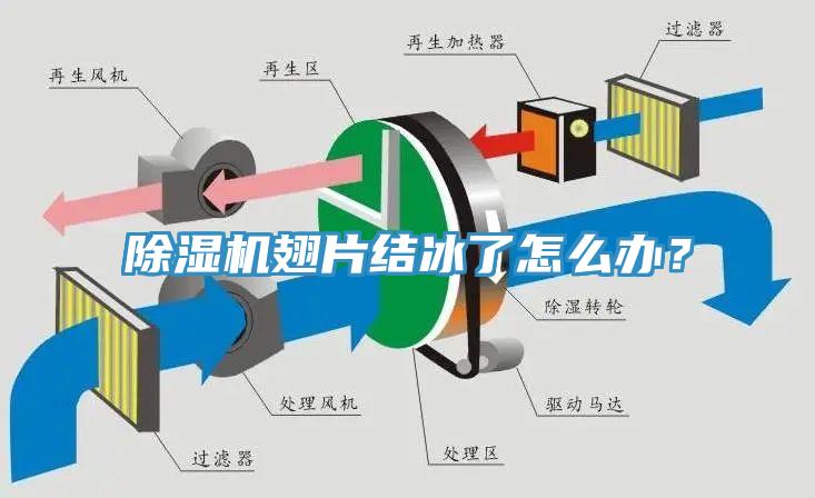 草莓视频污污污污翅片結冰了怎麽辦？