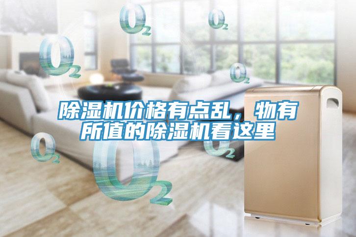 草莓视频污污污污價格有點亂，物有所值的草莓视频污污污污看這裏