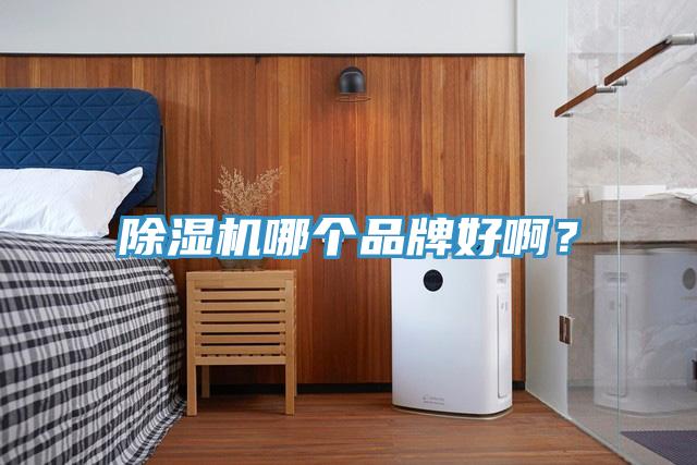 草莓视频污污污污哪個品牌好啊？