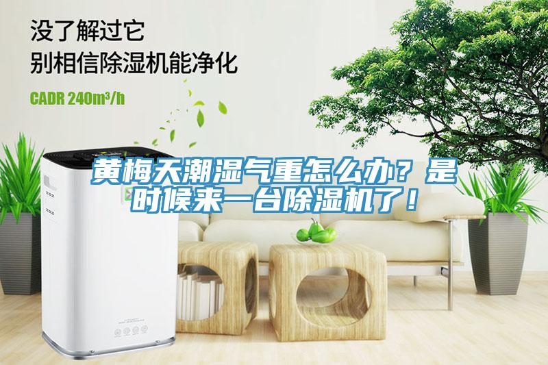 黃梅天潮濕氣重怎麽辦？是時候來一台草莓视频污污污污了！