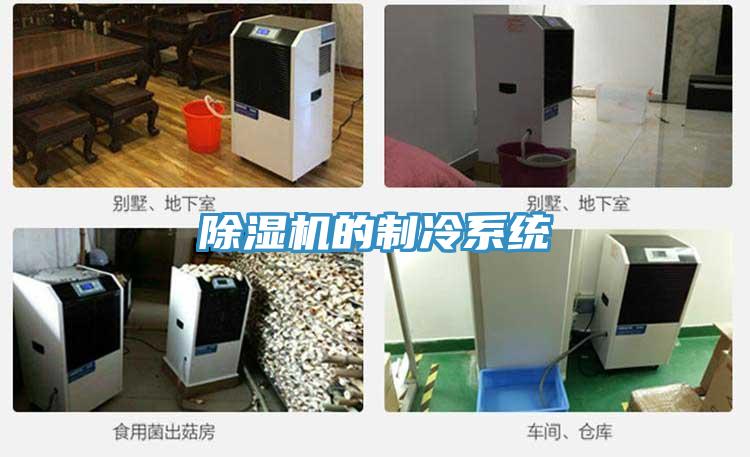 草莓视频污污污污的製冷係統