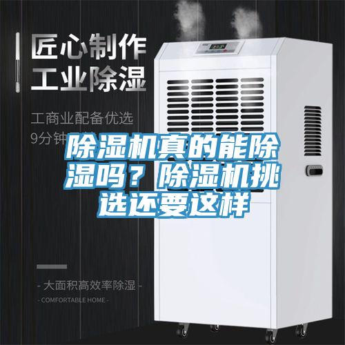 草莓视频污污污污真的能除濕嗎？草莓视频污污污污挑選還要這樣