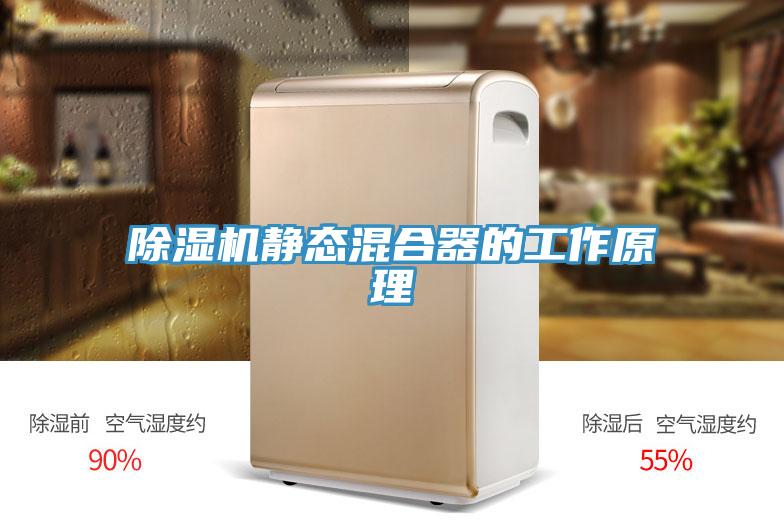 草莓视频污污污污靜態混合器的工作原理