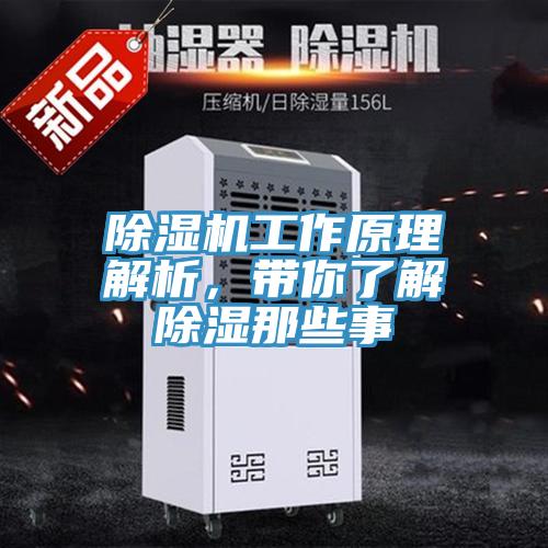 草莓视频污污污污工作原理解析，帶你了解除濕那些事