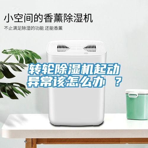 轉輪草莓视频污污污污起動異常該怎麽辦 ？
