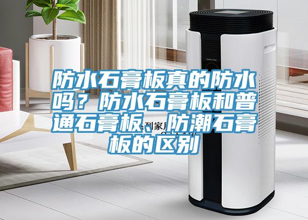 防水石膏板真的防水嗎？防水石膏板和普通石膏板、防潮石膏板的區別