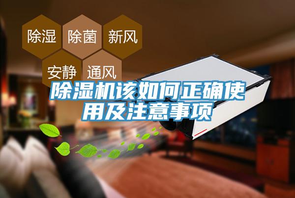 草莓视频污污污污該如何正確使用及注意事項
