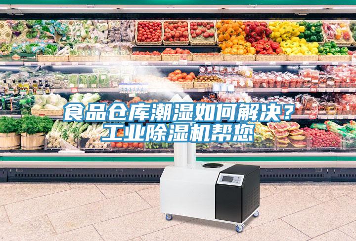 食品倉庫潮濕如何解決？工業草莓视频污污污污幫您