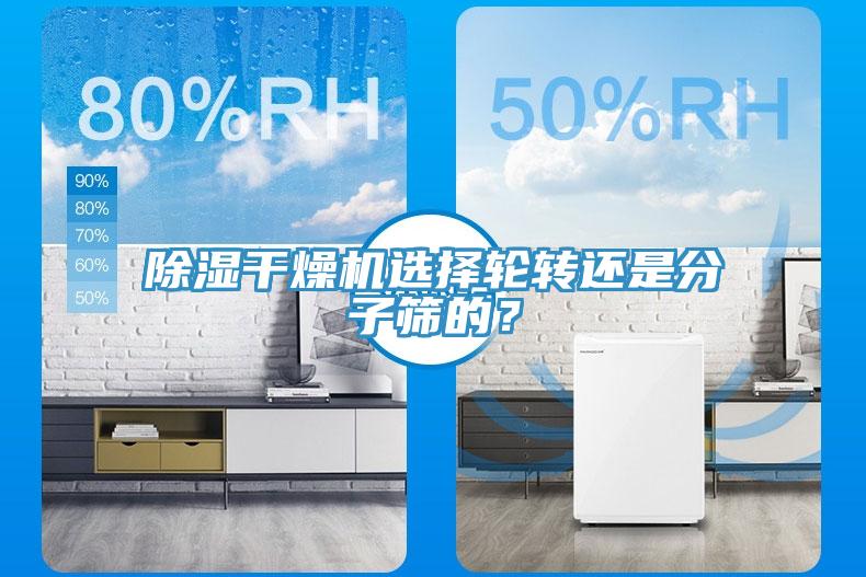 除濕幹燥機選擇輪轉還是分子篩的？