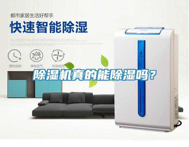 草莓视频污污污污真的能除濕嗎？
