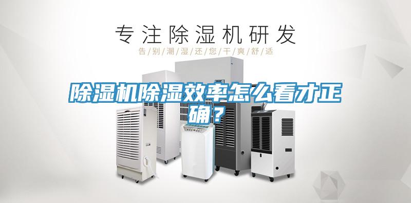 草莓视频污污污污除濕效率怎麽看才正確？