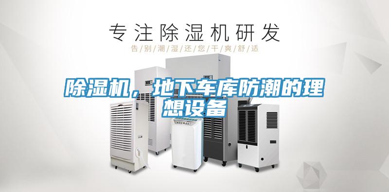 草莓视频污污污污，地下車庫防潮的理想設備