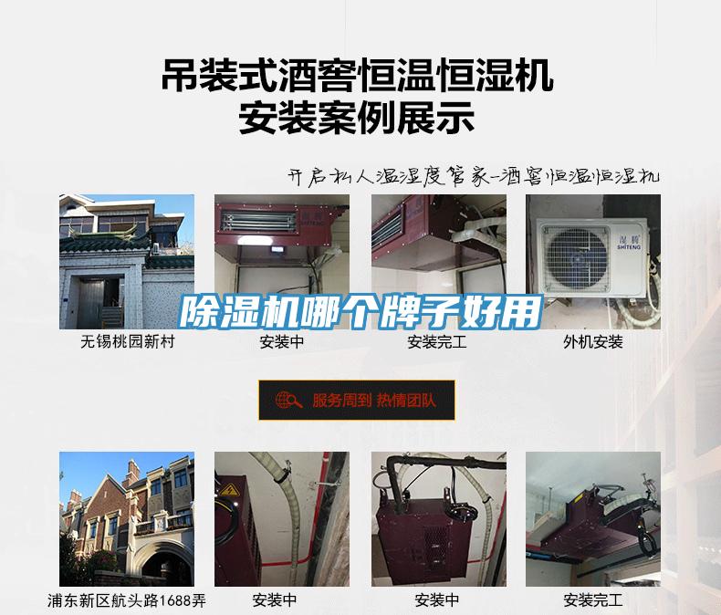 草莓视频污污污污哪個牌子好用
