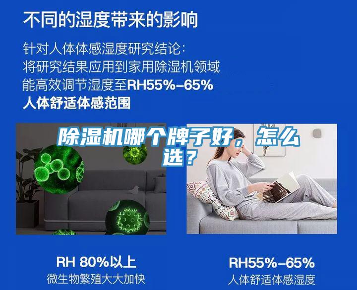 草莓视频污污污污哪個牌子好，怎麽選？