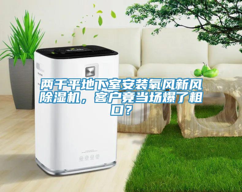 兩千平地下室安裝氧風新風草莓视频污污污污，客戶竟當場爆了粗口？