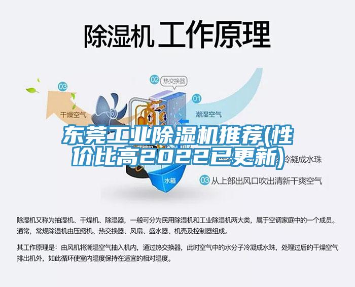 東莞工業草莓视频污污污污推薦(性價比高2022已更新)