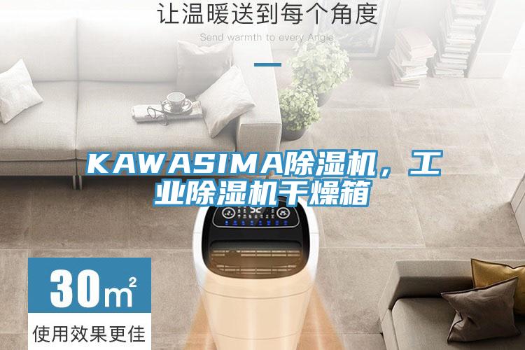 KAWASIMA草莓视频污污污污，工業草莓视频污污污污幹燥箱