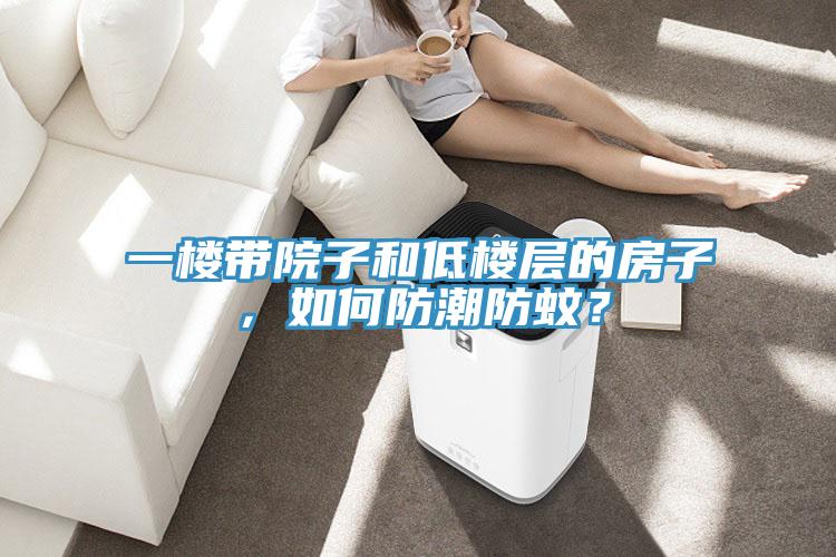 一樓帶院子和低樓層的房子，如何防潮防蚊？