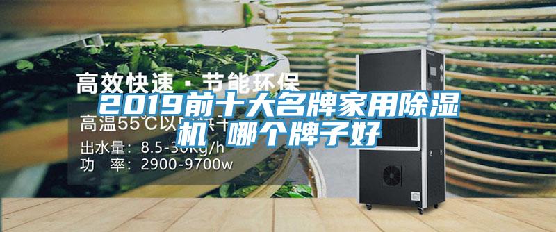 2019前十大名牌家用草莓视频污污污污 哪個牌子好