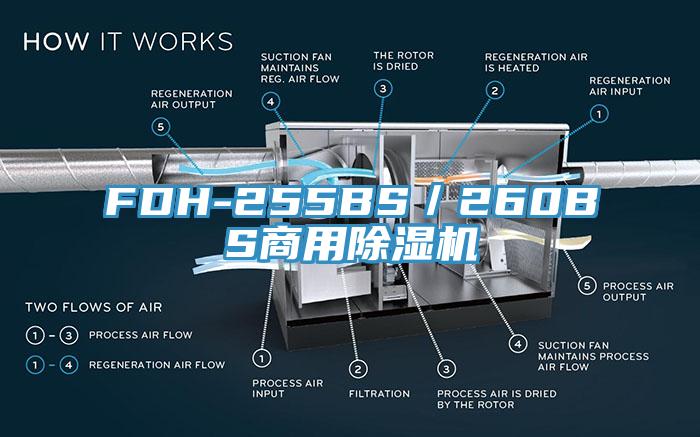 FDH-255BS／260BS商用草莓视频污污污污
