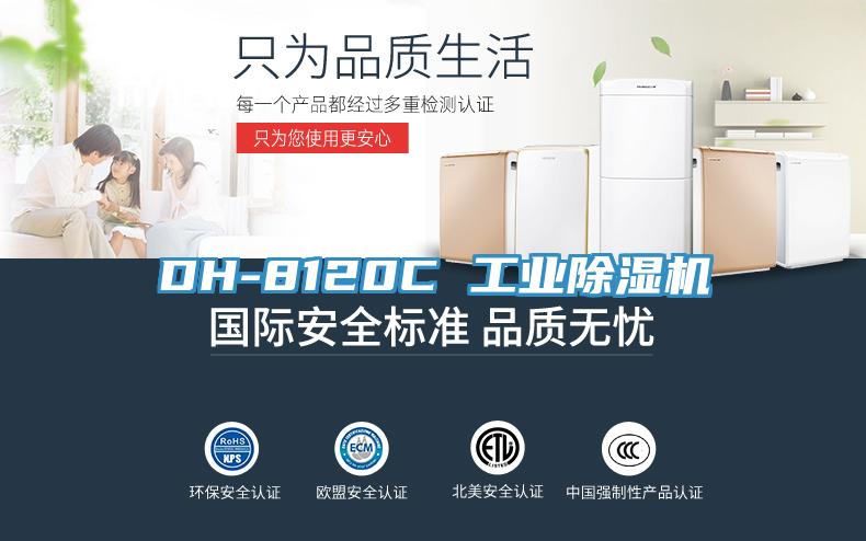 DH-8120C 工業草莓视频污污污污
