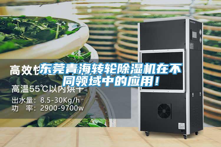 東莞青海轉輪草莓视频污污污污在不同領域中的應用！