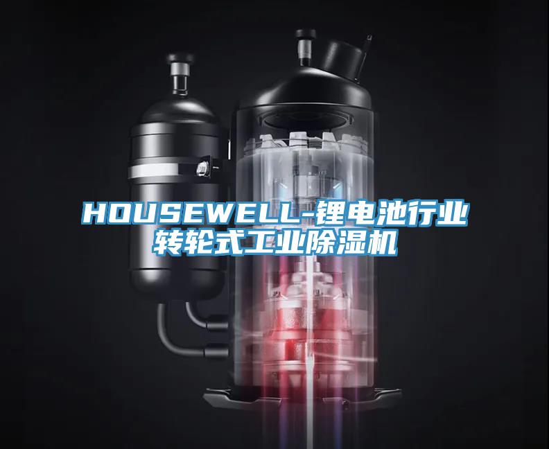 HOUSEWELL-鋰電池行業轉輪式工業草莓视频污污污污