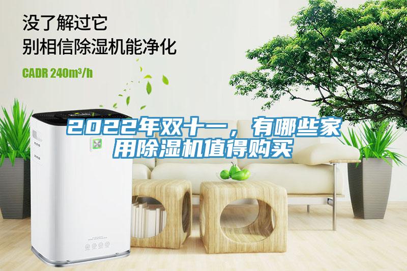 2022年雙十一，有哪些家用草莓视频污污污污值得購買