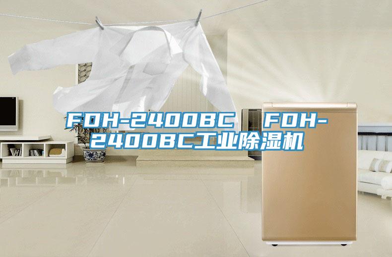 FDH-2400BC  FDH-2400BC工業草莓视频污污污污