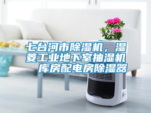 七台河市草莓视频污污污污，濕菱工業地下室抽濕機  庫房配電房除濕器