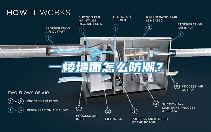 一樓牆麵怎麽防潮？