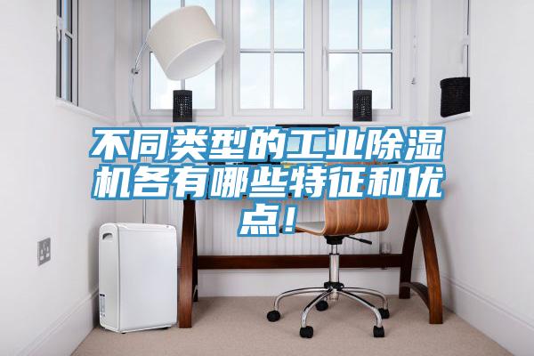 不同類型的工業草莓视频污污污污各有哪些特征和優點！
