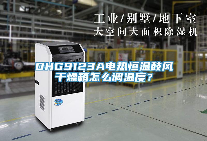 DHG9123A電熱恒溫鼓風幹燥箱怎麽調溫度？