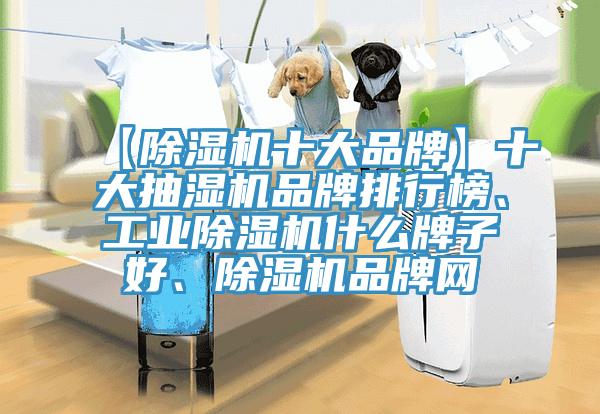 【草莓视频污污污污十大品牌】十大抽濕機品牌排行榜、工業草莓视频污污污污什麽牌子好、草莓视频污污污污品牌網